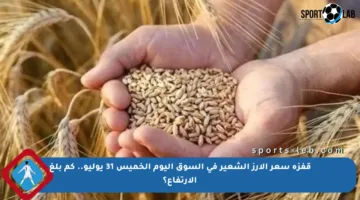 قفزة سعر الأرز الشعير في السوق اليوم الخميس 31 يوليو.. كم بلغ الارتفاع؟